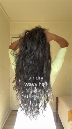 Wavy Hair Brush Styling Routine: Products & Steps for Air-Dry Waves