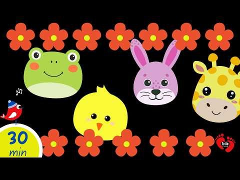 Baby Sensory Video | Colorful Animals & Calm Music for Brain Development