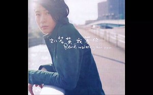 刘若英 - 后来 【HDCD Hi-Res音质】