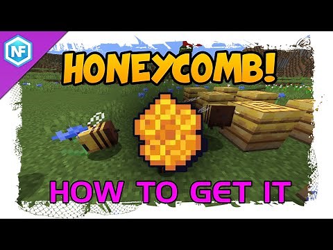 How to get Honeycomb in Minecraft