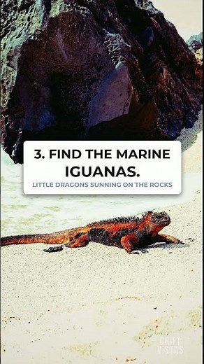 5 Things to Do in the Galapagos With Kids #shorts