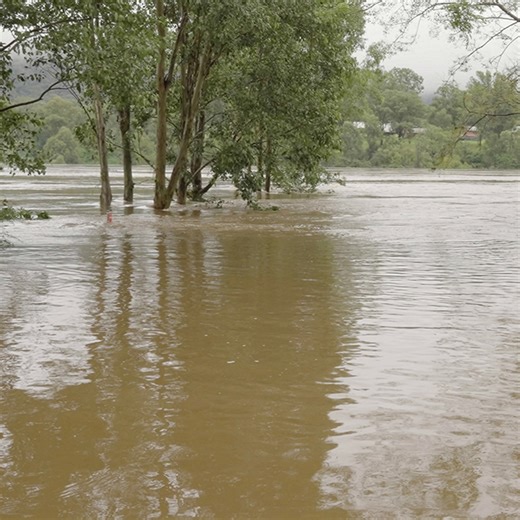 Bugs in floods - the microbes lurking in mud
