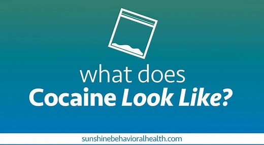 How To Identify Cocaine | What It Looks, Tastes & Smells Like