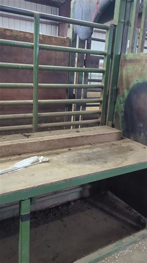 Buckskin Pinto, Buckskin Stute 3 Jahre Wir posten Euch jetzt einige Mustangs, die wir gestern in Burns gesehen haben. Es ist noch ein Platz für das Adoptionsjahr frei. Falls jemand Interesse hat, bitte direkt PER PN melden. Wir sind noch in den USA und haben keine Zeit Kommentare zu lesen. | American Mustang Germany