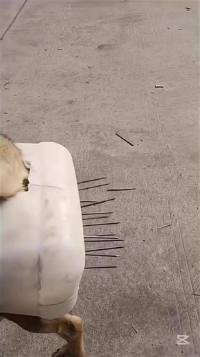 109K views · 1K reactions | Birth control method 101 | DJ KWAKU SLIM | Facebook