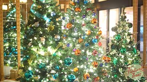 It's that time again! CPH is delighted to open the 2022 Festival of Trees! This time-honored Cleveland tradition is free and open to the public! Join us in the Allen Theatre Complex in the heart of Playhouse Square to stroll among dozens of beautifully decorated trees. We can't wait to see you there! For hours and other details, visit: bit.ly/FestivalOfTrees22 #WeAreCPH #ThisIsCPH #ClevelandPlayHouse #CPHFestivalOfTrees #Holidays2022 #ThisIsCLE #HolidaySeason #ChristmasTree #RegionalTheatre #Ame