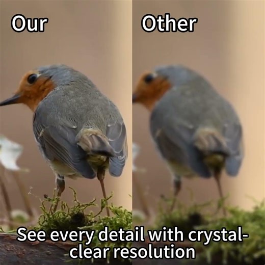 5MP 4-in-1 Outdoor Bullet Cam: AHD/CVI/TVI/Analog, IP66, DIP Switch