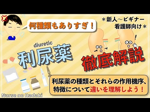 [A thorough explanation of diuretics!] Learn about the different types, mechanisms of action, and...