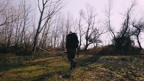 A wolf caught on my DSLR camera trap