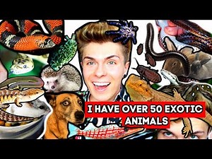 Meet All of My Pets! I Have 50+ Exotic Animals! *2019* | Tyler Rugge