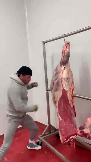 I’ve been billed as the main event for a huge boxing show at the magnificent Manchester Arena this fall, Oct 2nd! I’m the highest paid set of hands on the line up by a country mile, so I appreciate that they have paid the gargantuas fee required for me to sign the contract and put on a real spectacle. I’ll be giving a lump of my prize winnings to the ‘Children with Cancer charity UK’. Let me say this now, I’ll spin any chin that wants to get in that ring with me Oct 2nd - the bigger the man the 