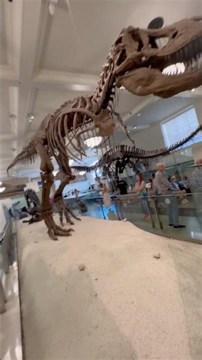 Museum of Natural History #museumofnaturalhistory