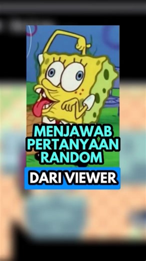 Answering random questions from viewers