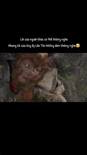 cảm động quá 😭😭😭 cre: Tây Hải #tonngokhong #xuhuonggg