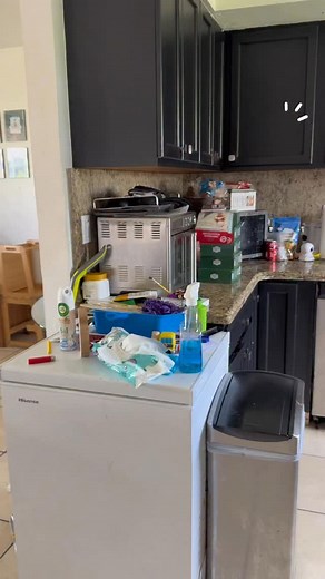 Reset my kitchen counter with me. #mom #kitchenreset #cleanwithme | Mikeandnhy