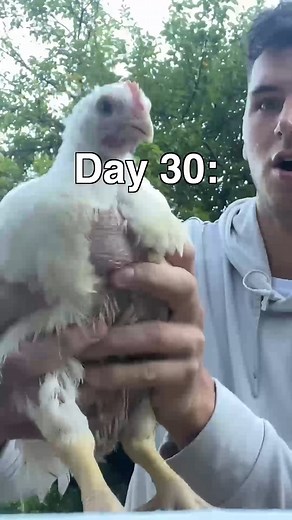 I Raised A Chicken, Then Cooked It | Nick DiGiovanni