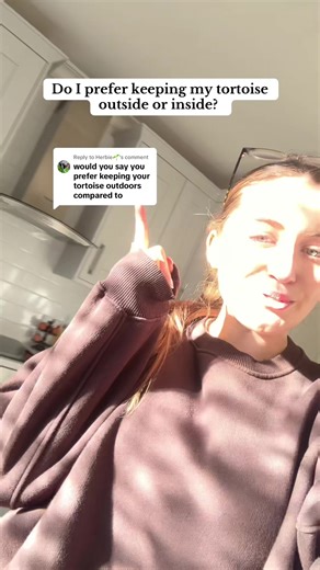 Tortoise Care: Indoor vs. Outdoor Enclosures