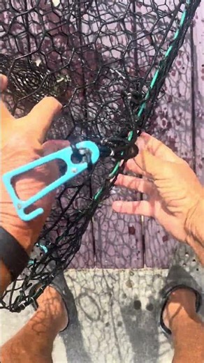 Any Blue Crabs? Checking my Crab Pot!! #fishing #bluecrab