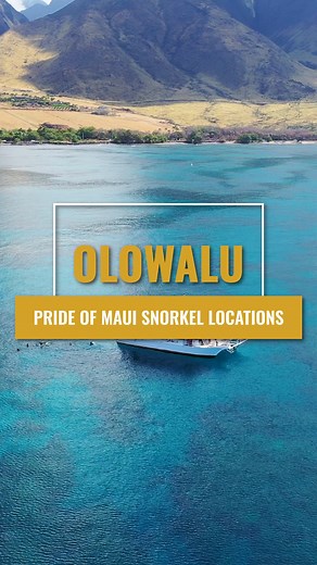 Olowalu Reef is home to one of Hawaii's most unique ocean reef systems. It's a fantastic location to enjoy ocean activities in Maui and one of our regular morning stops! #olowalu #snorkel #snorkeling #mauihawaii #prideofmaui #maui #mauithingstodo | Pride of Maui