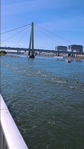 🏊‍♂️🌊 Triathlon Cologne 2025 – Swimming in the Mighty Rhine! 💪🔥
