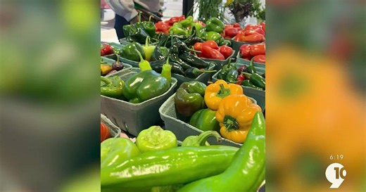 Starting Fresh at the Cadillac Farmers Market