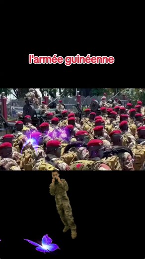 L'armée guinéenne : Force et Détermination en Afrique de l'Ouest