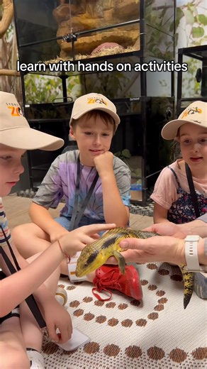 Who’d love to be a zookeeper one day? 🦁 The Mini Zookeeper For a Day, Accessible Zookeeper For a Day and Cadet Zookeeper For a Day programs are all held throughout the school holidays! 🎉 For more information: https://sydneyzoo.com/experiences/mini-keeper-for-a-day #sydneyzoo #zookeeper #schoolholidays | Sydney Zoo
