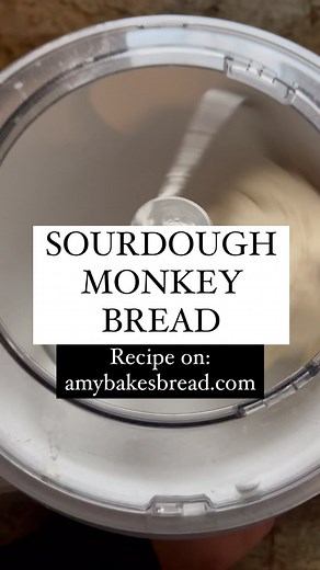 Don’t sleep on this sourdough monkey bread! . Sourdough monkey bread is made up of little balls of cinnamon sugary goodness that are covered in a caramely brown sugar cinnamon sauce making them hard to resist. This recipe is made with 💯 natural yeast making them easy on your tummy too! . Fun fact: It’s called monkey bread because of the way you eat it—picking off chunks of gooey bread like a monkey would groom a friend 🙃. . Find the recipe on my website: amybakesbread.com Search: Sourdough Mon