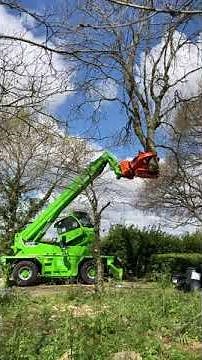 Amazing Machine removing Ash Dieback - Merlo Roto Telehandler with Grapple Saw