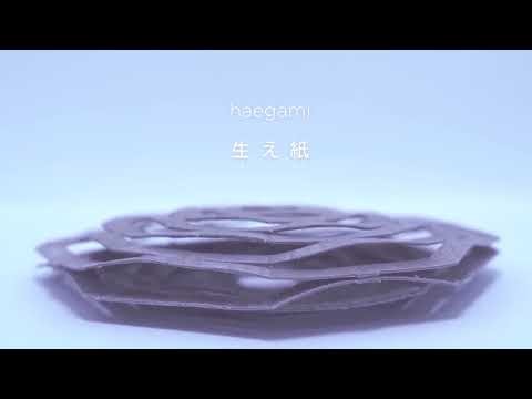 HAEGAMI: Material Programming for Meteorosensitive Architecture