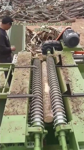 The workers operate the bark peeling machine to peel the bark of the logs