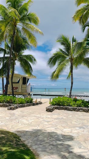 Good morning from sunny Waikiki Beach! 🏖️🤙🏼 #hawaii #outdoorfun #waikiki #beachwalk #oahu | Spirit of Hawaii