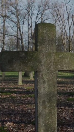 I Have a Rendezvous With Death - by Alan Seeger #poetry #motivation #shorts