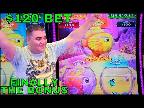 OMG I Got All 3 POTS BONUS On $120 Spin At GOLD FISH DELUXE