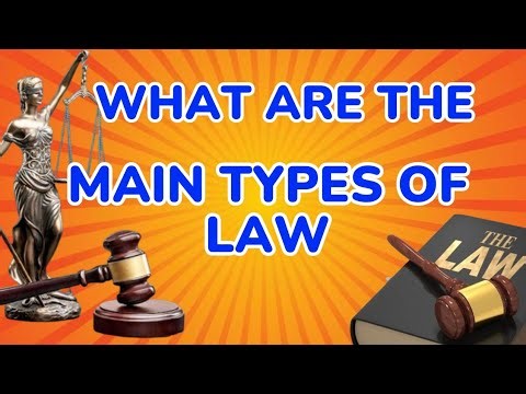 Types of Law Explained | Legal Method Lecture| Common law Legal System