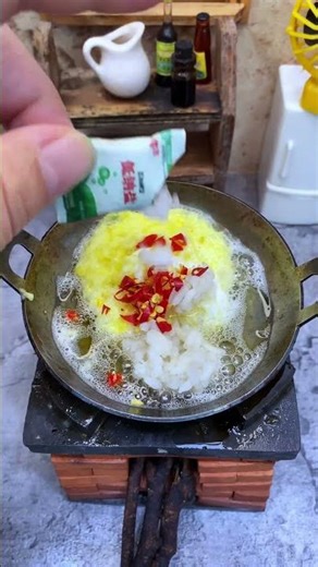 No Meat Fried Rice Even Flies Join In 😭