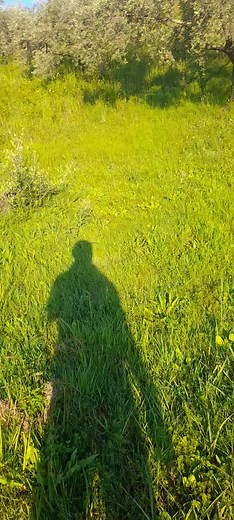 Exploring Serene Natural Landscapes in Rural Scenes