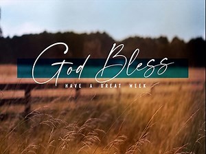 Amber Fields Close | Life Scribe Media