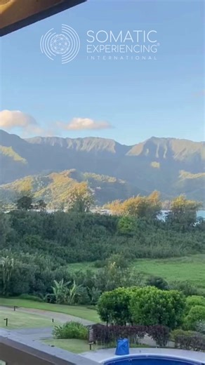 Pause and orient. Orienting is a simple Somatic Experiencing® practice that supports the nervous system in sensing safety, presence, and connection in the here and now. Even a few moments of noticing what is around you can help create more regulation and ease. #SomaticExperiencing #SEI #Orienting #NervousSystemHealth #GroundingPractice #EmbodiedHealing #TraumaInformed #SECommunity | Somatic Experiencing International