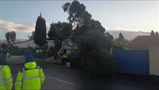 Dégagement de la route par les services de @agglohm 🌴☀️👍 #mermediterranee #tempête #tempêtenils | Cap Nature Agde