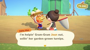 Daisy Mae - Turnip Guide