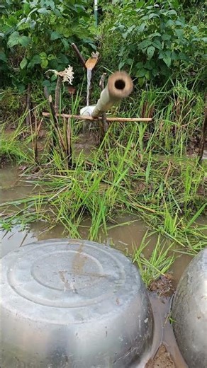 Auto Bird Control Tech! Traditional Wisdom Hydraulic Lever