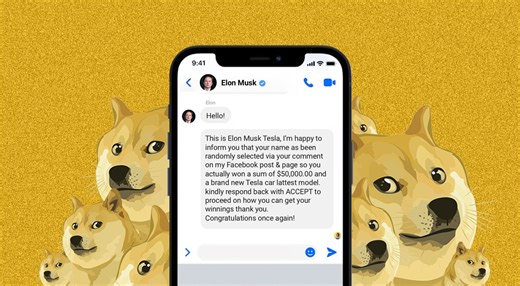 Scammers impersonate Elon Musk​ | Cybernews