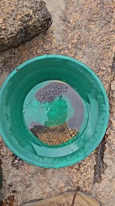 How much gold can I get in one bucket? | Vo-Gus Prospecting
