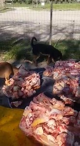 440K views · 2.7K reactions | There's two things going on her .....