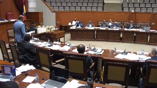 11K views · 85 reactions | SOME DERELICT PROPERTIES COULD BE AUCTIONED IF OWNERS FAIL TO ACT The Government is moving to tackle derelict and abandoned properties with legislation. Lawmakers in Parliament's Lower House approved an amendment to the Tax Administration and Procedure Act of 2015 on Thursday. As a last resort, some properties could be seized and sold. Garfield Burford reports. | ABS Television/Radio | Facebook