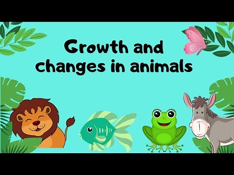 Growth and changes in animals -Animals Life cycle