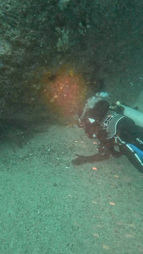 704K views · 5.7K reactions | Throwback Thursday to the Hunt for a...