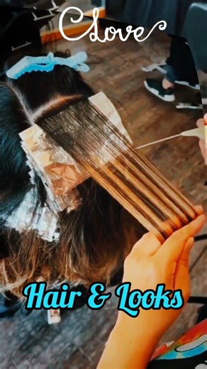 SECTION OF HIGHLIGHTS....