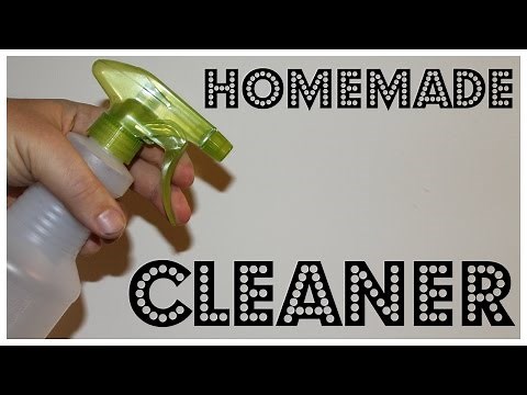 Homemade Spray Cleaner